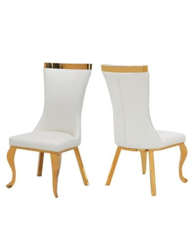 S. S. Modern Home Dining Chairs